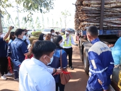 ตรวจสอบประสิทธิภาพในการรับแรงของรถบรรทุกและอุปกรณ์