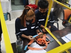 เทคนิคการใช้สายรัด และความสามารถในการรับแรง		